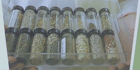 Trezor smaka svijeta na Svalbardu - 4