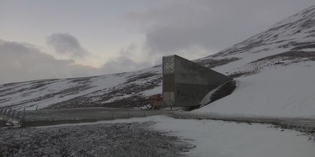 Trezor smaka svijeta na Svalbardu - 7