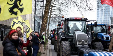 Prosvjed poljoprivrednika u Bruxellesu - 1