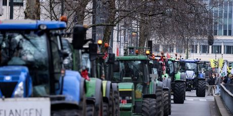 Prosvjed poljoprivrednika u Bruxellesu - 3