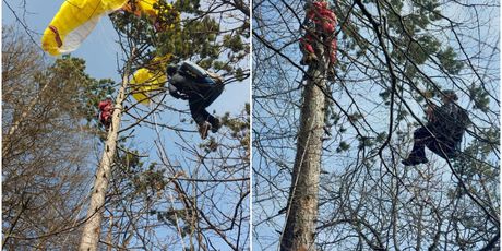 HGSS spašavao paraglajdera koji je pao na drvo