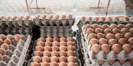 Jaja na tržnicama - 13