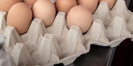 Jaja na tržnicama - 16