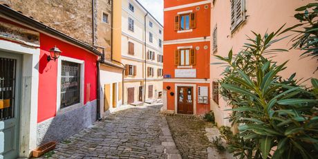 Motovun - 1