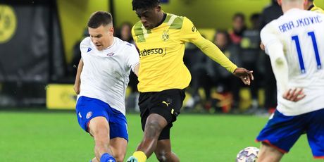 Dortmund - Hajduk