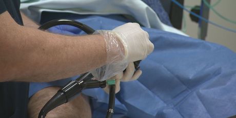 Rak, ilustracija - 2