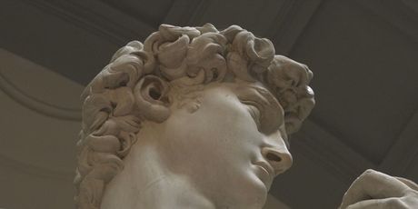 Michelangelov David - 1