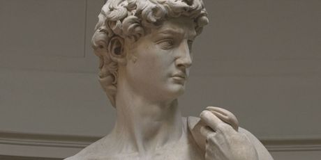 Michelangelov David - 2