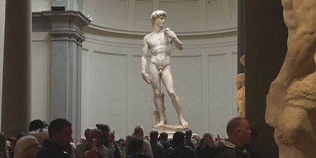 Michelangelov David - 3