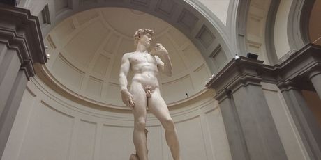 Michelangelov David - 5