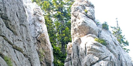 Premužićeva staza na Velebitu - 13