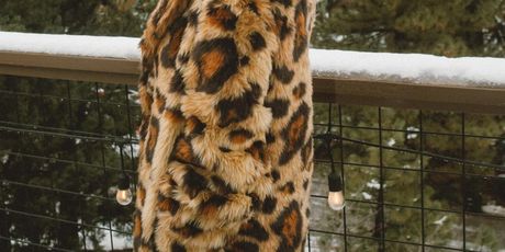 OVAN – Mob wife stil