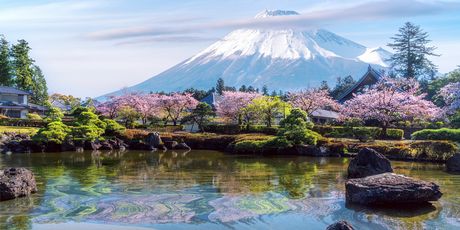 Nestvarna ljepota planine Fuji u Japanu