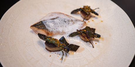 Trattoria & enoteca Gola - 2