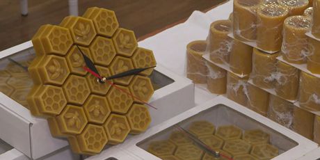 Pčele krenule s proizvodnjom - 3