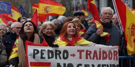 Prosvjed u Madridu - 1