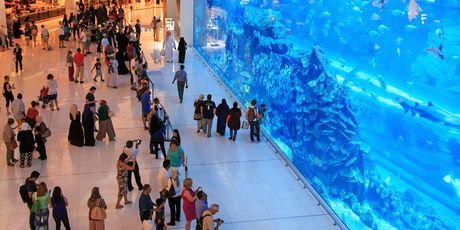 Dubai Aquarium u Dubai Mallu