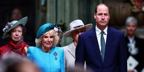 Princ William i kraljica Camilla - 4