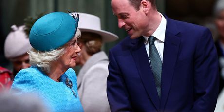 Princ William i kraljica Camilla - 6