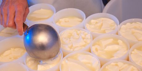 Camembert - 3
