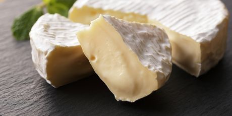 Camembert - 1