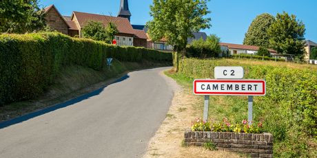 Camembert - 2