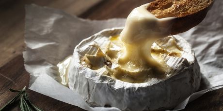 Camembert - 3