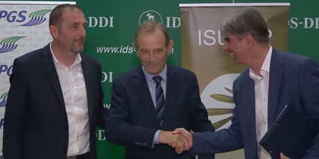 IDS - 4