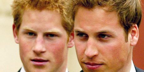 Prinčevi Harry i William u mlađim danima - 7