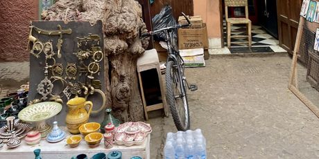 Tržnice Marakeša - 11