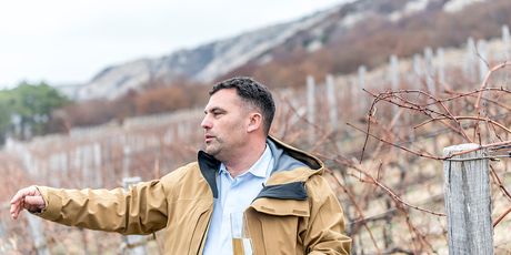 Katunar Estate Winery - 16