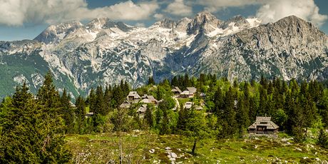 Velika planina, ilustracija