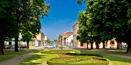 Bjelovar obiluje lijepim i uređenim parkovima