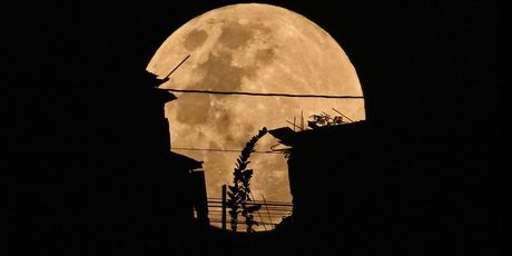 Pomrčina Mjeseca - 11