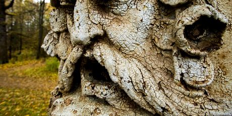 Bomarzo - 5