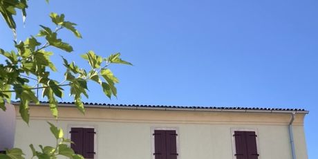 Bale, Istra - 10