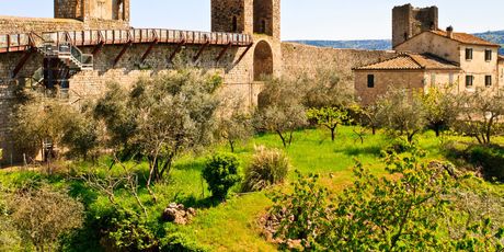 Monteriggioni - 6