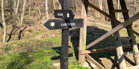Šumarica - 1