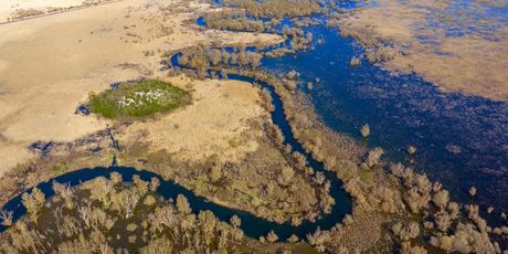 Zima u Hutovom blatu - 6