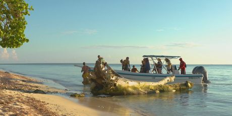 In Magazin: Survivor - 3