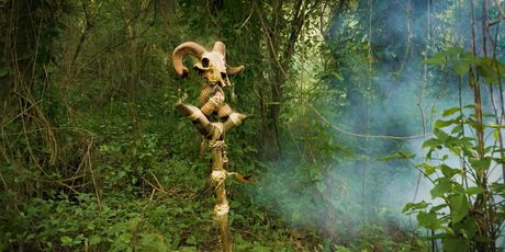 In Magazin: Survivor - 6