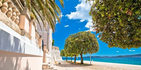 Novi kviz općeg znanja - 13