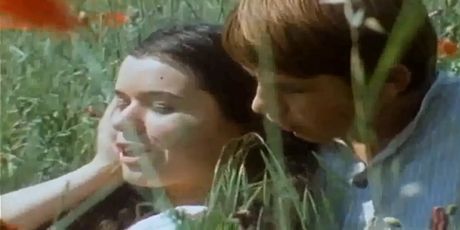 Vlasta Knezović - 2