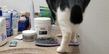 Ljubimci huligani - 35