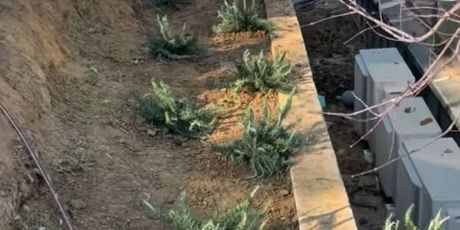 Ida Prester na Instagramu