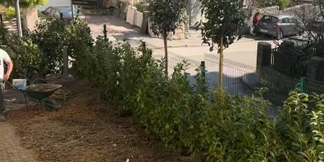 Ida Prester na Instagramu