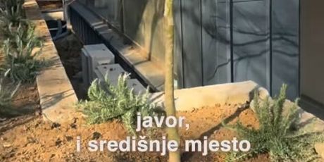 Ida Prester na Instagramu