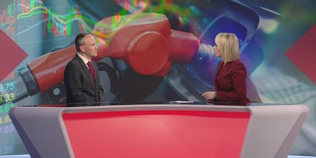 Financijska analiza Hrvoja Japunčića