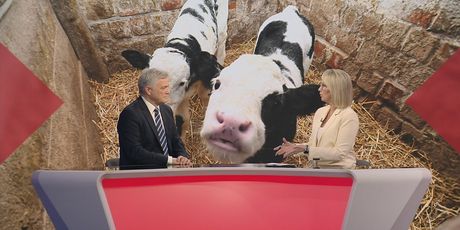 Sabina Tandara Knezović i Zvonimir Mršić - 3