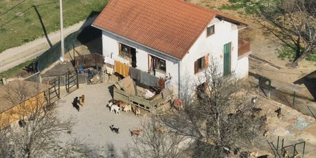 Poziv: Divlja skloništa za životinje